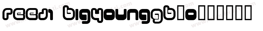 REEJ1 BigYoungGB20字体转换